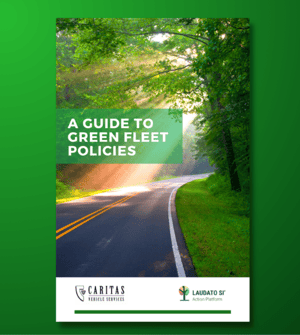 A Guide to Green Fleet Policies